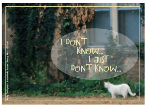 i-dont-know-ca-11-11-2016-pic-2016-11-19-at-5-17-00-am